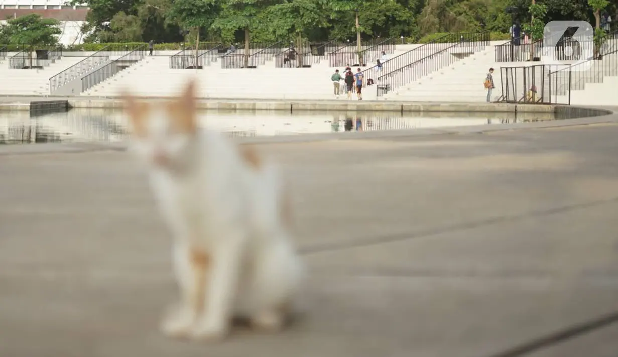 Warga beraktivitas di sekitar Taman Lapangan Banteng, Jakarta, Kamis (20/2/2020). Adanya revitalisasi kawasan Monas menyebabkan sebagian warga lebih memilih Lapangan Banteng sebagai tempat menghabiskan waktu untuk berolahraga serta berekreasi. (Liputan6.com/Immanuel Antonius)