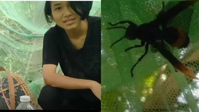 Cari Sinyal Agar Bisa Ujian Online, Gadis Ini Bangun Tenda Pohon di Hutan