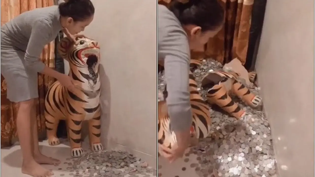 Viral Wanita Pecah Celengan Macan Isi Uang Koin, Total Hingga Rp 15 Juta