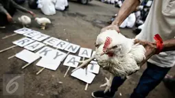 Demonstran membawa seekor ayam saat unjuk rasa depan Istana Merdeka, Jakarta, (1/3). Mereka kecewa terhadap turunnya Harga Pokok Produksi (HPP) pengeluaran modal Rp18.000 sedangkan harga jual hanya Rp10.000 per kilogramnya.  (Liputan6.com/Faizal Fanani) 