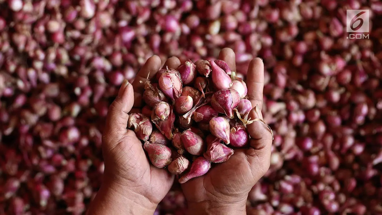 Harga Bawang di Pasar Kramat Jati