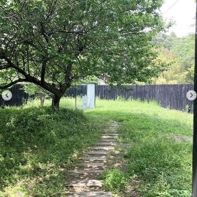 Uniknya Toilet Tembus Pandang di Jepang, Dikelilingi Rerumputan