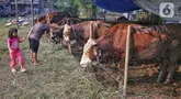 Anak-anak bermain di sekitar lokasi penjualan hewan kurban di kawasan Tanah Kusir, Jakarta, Rabu (28/5/2025). (Liputan6.com/Angga Yuniar)