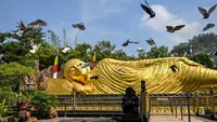 Sejumlah burung merpati terbang di samping patung Buddha raksasa di Maha Vihara Mojopahit, Mojokerto, Jawa Timur, pada tanggal 15 Mei 2024. (JUNI KRISWANTO/AFP)