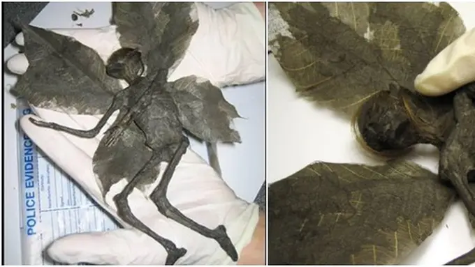 Foto Dok. Berbagai Sumber