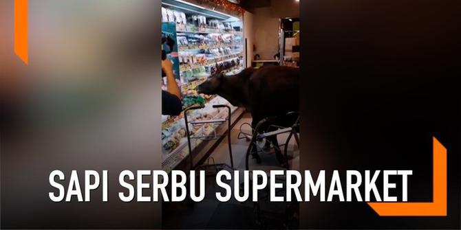 VIDEO: Kawanan Sapi Liar Serbu Supermarket karena Kelaparan
