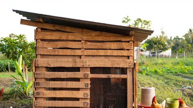 Desain Kandang Ayam dari Barang Bekas Kreatif dan Low Budget (AI)