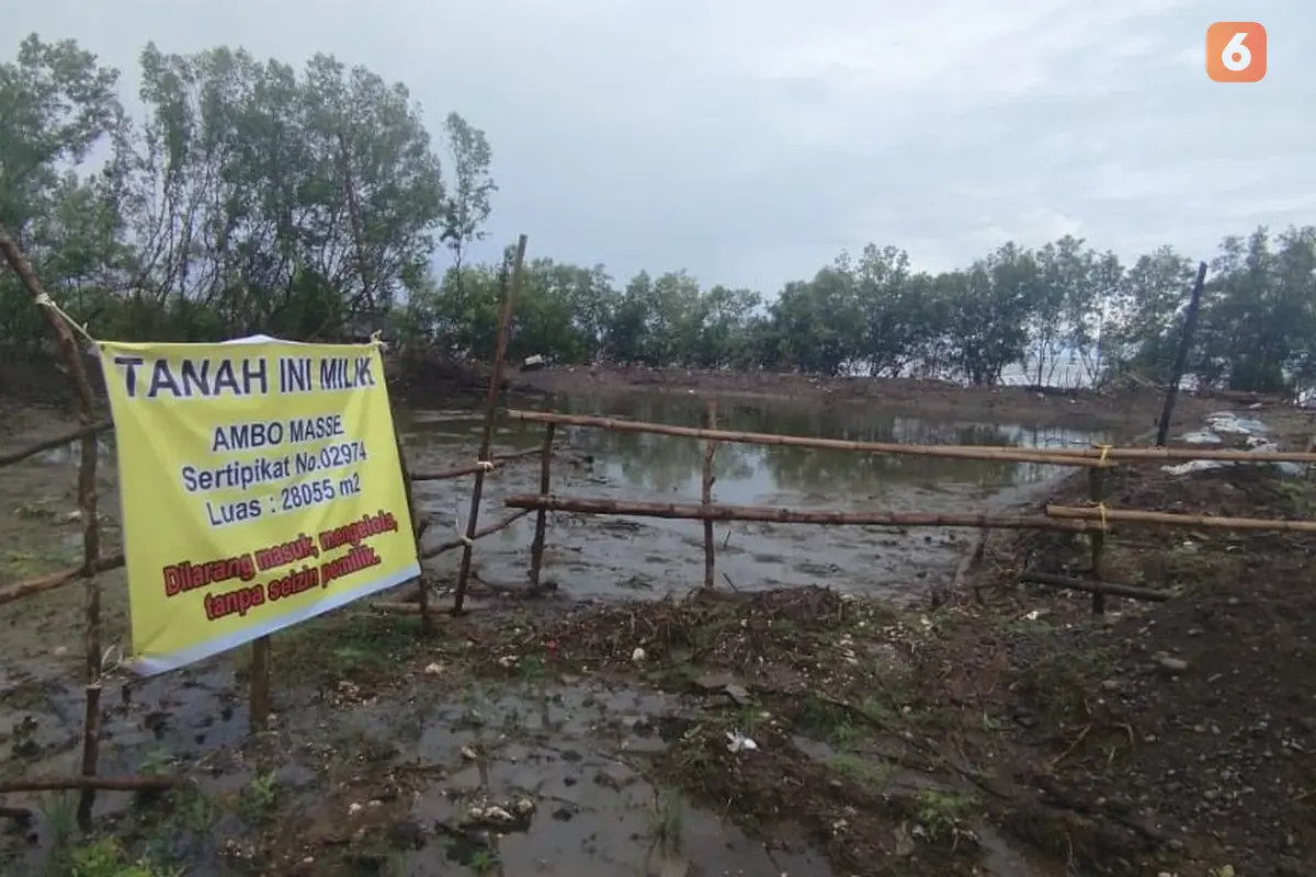 Kawasan Hutan Mangrove yang terletak di Desa Nisombalia, Kecamatan Marusu, Kabupaten Maros, Sulsel tampak gundul.(Liputan6.com/Ahmad Yusran)