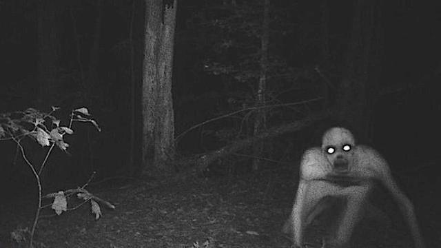 Mengerikan, 5 Makhluk Aneh yang Keberadaannya Dipertanyakan