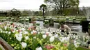 Desain The White Garden terinspirasi oleh gaya hidup Putri Diana, London, Kamis (13/4). Perancang The White Garden sengaja membuat taman yang elegan, sederhana, tetapi tetap menyenangkan, untuk mencerminkan semangat Putri Diana. (AP Photo / Matt Dunham)