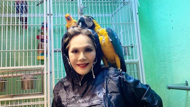 8 Pesona Ratna Sari Dewi Istri Ke 5 Soekarno Yang Awet Muda Di Usia 80 Tahun Hot Liputan6 Com