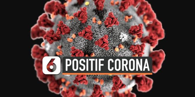 VIDEO: Jokowi Sebut 2 Orang Positif Corona di Indonesia