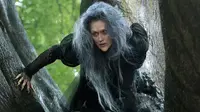 Meryl Streep benar-benar berubah saat memerankan penyihir yang menakutkan di film terbaru Disney bertajuk Into the Woods.