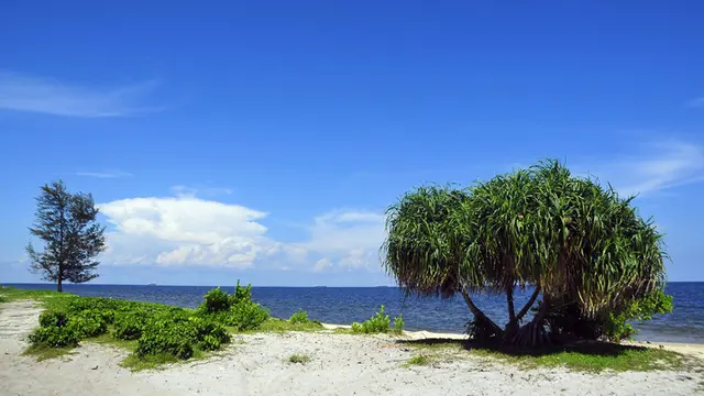 [Bintang] Kalimantan