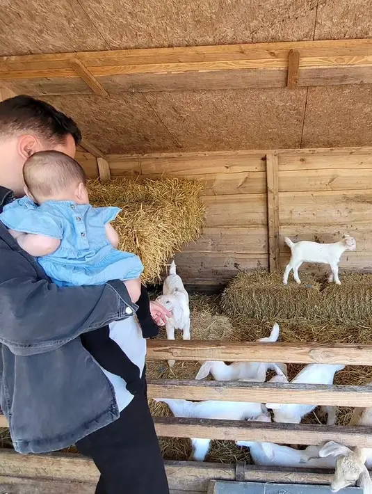 "Nova naar de boerderij. Waktu itu Ngajak Nova ke peternakan Mau ngenalin sama binatang2 yang bisa dia pegang," tulis graciaz14. [Instagram/graciaz14]