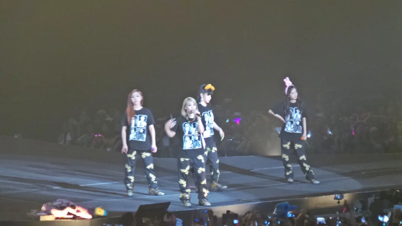 2NE1 Ketagihan Nasi Goreng dan Ingin ke Bali