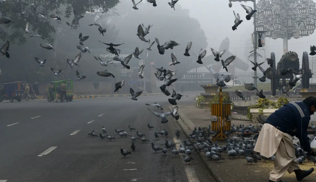 Seorang pria memberi makan merpati di tengah kabut asap tebal di Lahore (3/1). Tingkat kabut asap melonjak selama musim dingin di Pakistan selatan, ketika kualitas udara melampaui level aman Organisasi Kesehatan Dunia. (AFP Photo/Arif Ali)
