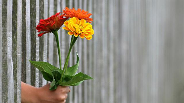 Ilustrasi naksir, gebetan, bunga