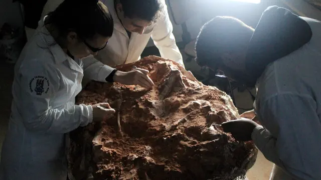 Fosil dinosaurus berusia 230 juta tahun
