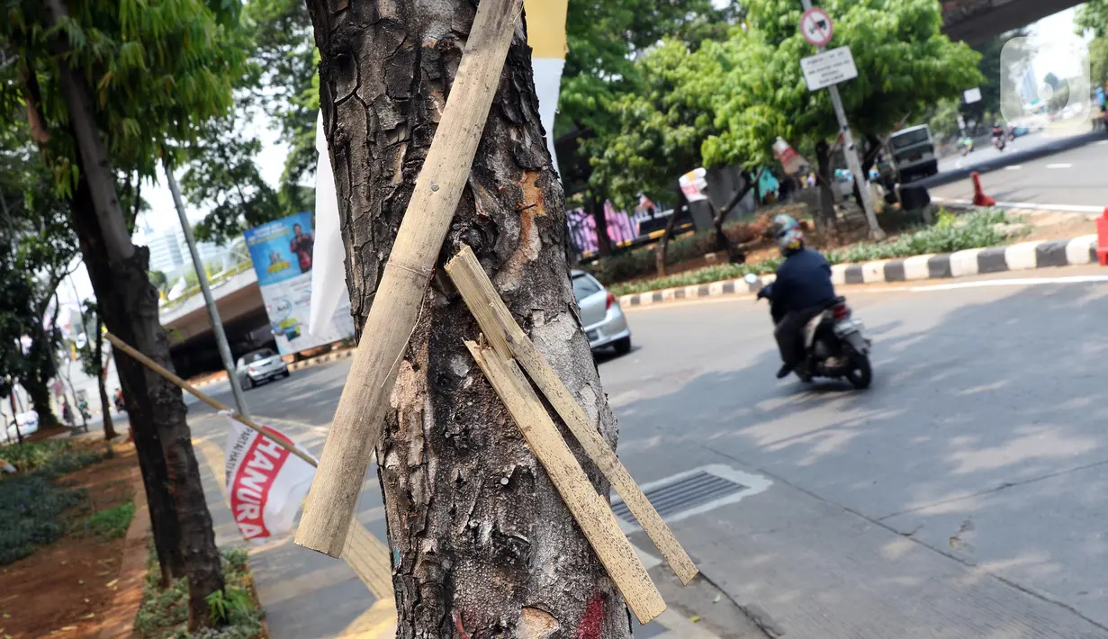 Potongan bambu sisa alat pengibaran bendera terpaku di batang pohon di kawasan Jalan Gatot Subroto, Jakarta, Kamis (21/11/2019). Setiap 21 November diperingati sebagai Hari Pohon Sedunia, hal ini untuk mengingatkan masyarakat akan manfaat tanaman bagi kehidupan. (Liputan6.com/Helmi Fithriansyah)