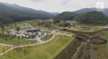 Otoritas Hutan Korea Selatan membuka Arboretum Nasional Baekdu-daegan. Ini salah satu upaya melestarikan spesies harimau yang terancam punah di alam liar.