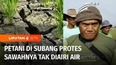 Sejumlah petani di kawasan Pusakanagara, Kabupaten Subang, Jawa Barat, memprotes perangkat desa, karena sudah 2 bulan belakangan, sawahnya tidak dialiri air. Akibatnya ratusan hektar sawah dipastikan gagal panen. Sementara di Kabupaten Madiun, ribuan...