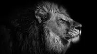 6 Arti Mimpi Pelihara Singa di Rumah, Pertanda Baik? (Pixabay)