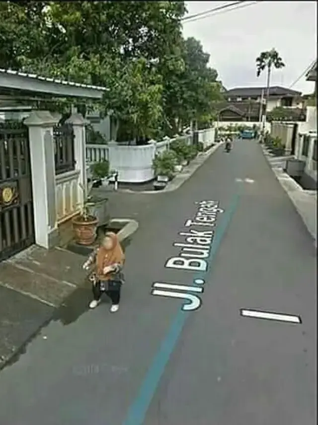 Kumpulan Potret Kocak Ibu-Ibu di Jalan Raya yang Tertangkap Kamera Google Maps