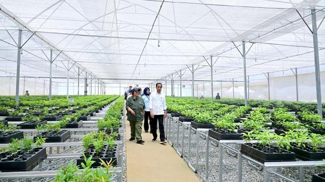 Indonesia telah berhasil menurunkan angka deforestasi sampai titik terendah pada tahun 2021-2022 sebesar 104 ribu ha. Sementara, deforestasi Indonesia tahun 2020-2021 adalah sebesar 113,5 ribu ha. (Istimewa)