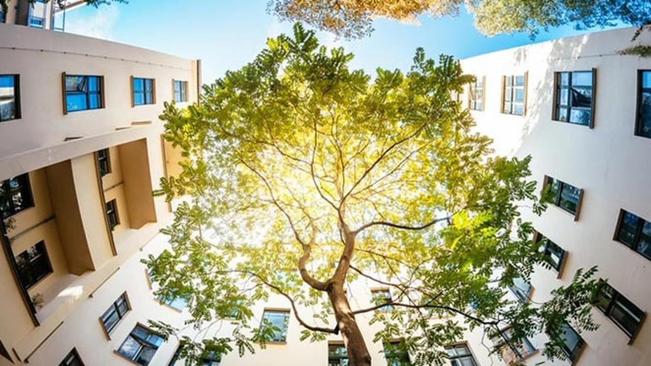 Ilustrasi lingkungan bersih bebas karbon. Dok: Signify