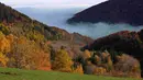 Warna daun-daun musim gugur di pegunungan Vosges menandai pergantian musim di Rimbach, kawasan Alsace, Perancis timur, Selasa (3/11). (REUTERS / Jacky Naegelen)