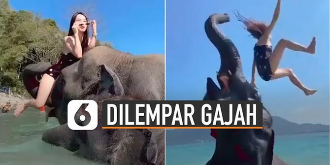 VIDEO: Kocak, Perempuan Berpose di Atas Belalai Gajah Akhirnya Mengejutkan