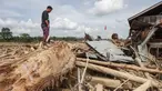 Seorang pria mencari sisa-sisa rumahnya yang terkubur di bawah tumpukan pohon tumbang yang disapu banjir bandang, di desa Lintang Bawah, Aceh Tamiang, Sumatera Utara, pada Kamis 11 Desember 2025. Banjir bandang dan longsor yang menerjang Aceh, Sumatera Utara, dan Sumatera Barat yang terjadi pada 25 November 2025 lalu mengakibatkan kerusakan parah pada sejumlah wilayah, salah satunya desa Lintang Baru di Aceh Tamiang. (Aditya Aji/AFP)
