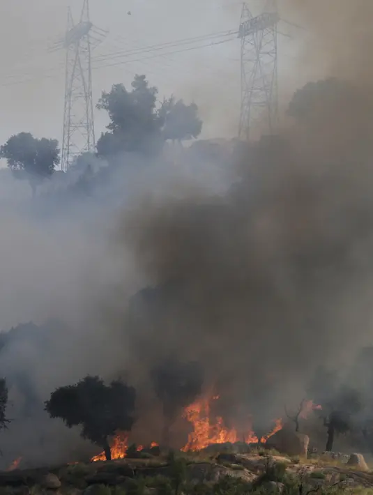 Lebih dari 100 ribu hektare hutan terbakar di Lagoa, Portugal, Kamis (8/9). Gelombang kebakaran hutan ini melanda tujuh wilayah. (REUTERS / Miguel Vidal)