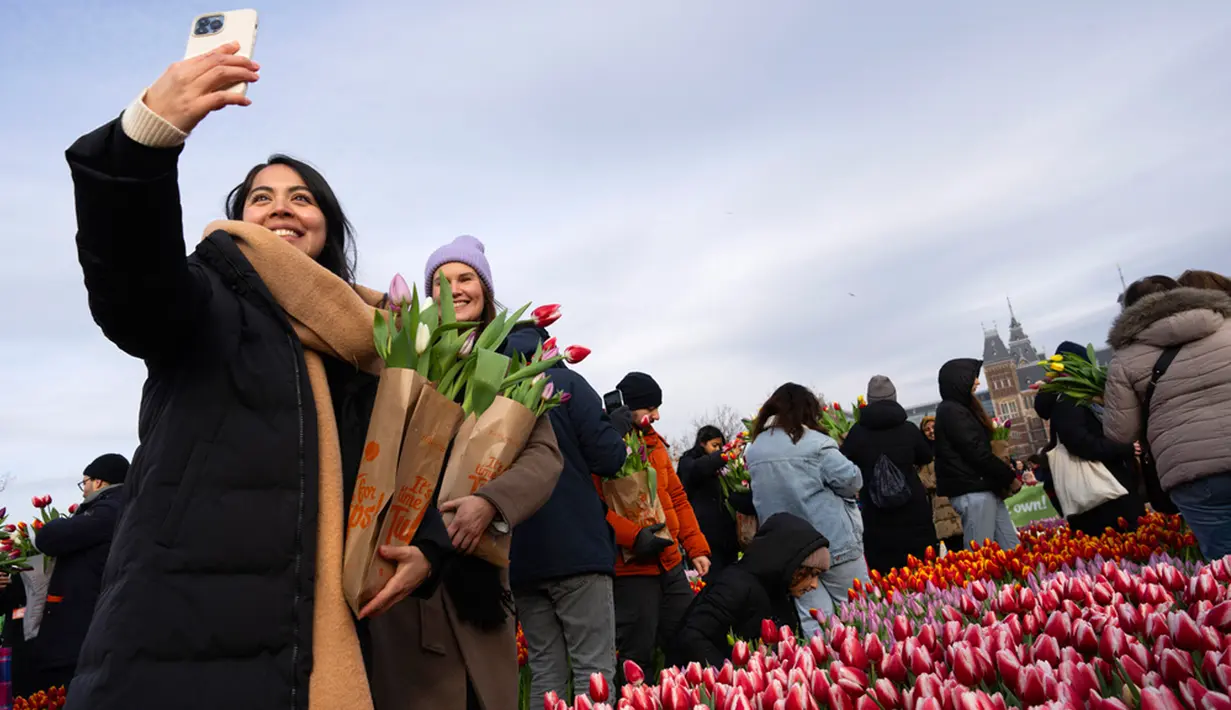 Bunga khas Negeri Kincir Angin ini secara umum menyimbolkan kasih sayang, semangat, dan harapan. Banyak orang yang memberikan hadiah tulip untuk menyampaikan perasaan atau merayakan momen istimewa. (AP Photo/Peter Dejong)