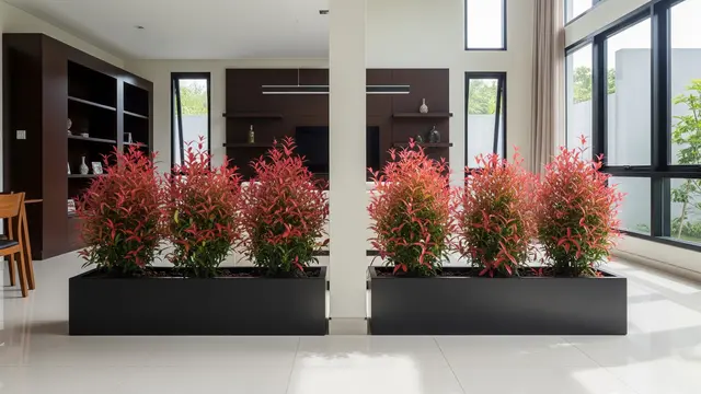 Pucuk Merah