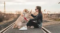 The 10 Most Loyal Dog Breeds That Will Never Leave Your Side