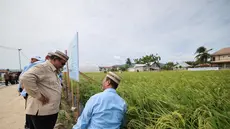 Menteri Pertanian Andi Amran Sulaiman bersama Presiden Prabowo Subianto di Gorontalo. Dok Bakom