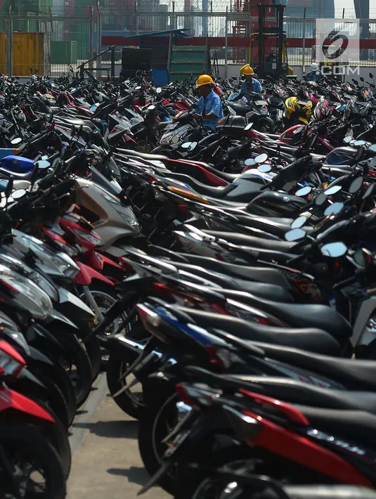Ribuan Peserta Ikuti Mudik Gratis Kemenhub dengan Kapal Laut