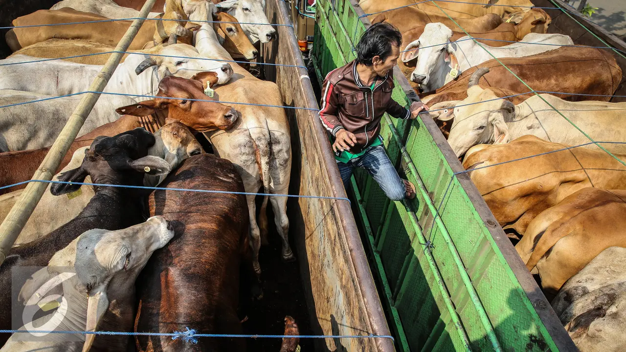 20150922-Pasar-Murah-Jakarta-Amran-Sulaiman