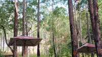 Kawasan hutan lindung Egon Ilin Medo berada di wilayah Kecamatan Waigete, Kabupaten Sikka. (Liputan6.com/ Jhon Gomes)