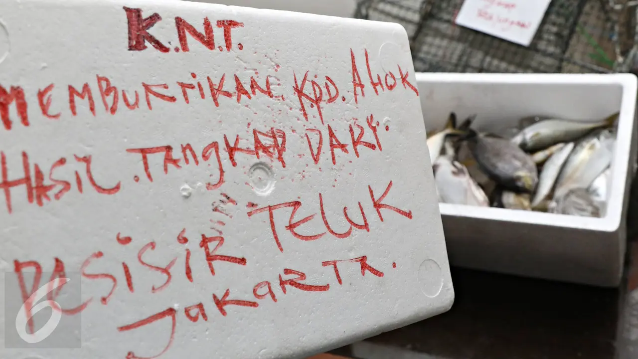 20160419-Diragukan Ahok, Nelayan Bawa Bukti Ikan dan KTP-Jakarta