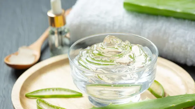 Aloe Vera