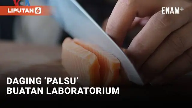 Permintaan global akan unggas dan makanan laut meningkat seiiring melonjaknya populasi dunia. Karena itu beberapa perusahaan berupaya memenuhi permintaan tersebut dengan membuat produk berbasis daging yang dikembangkan di lab dengan rasa dan tekstur ...