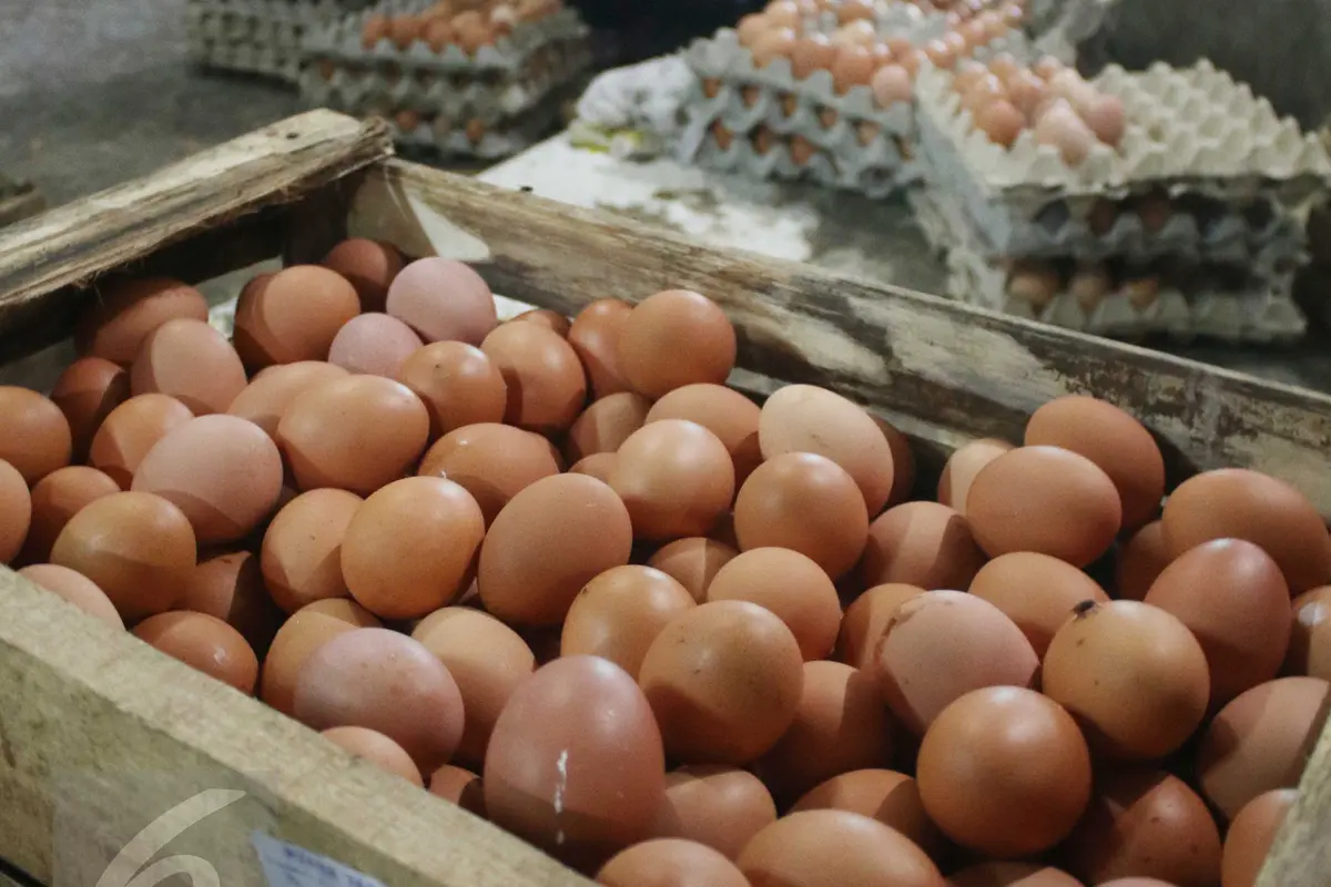 Harga-Telur-Ayam
