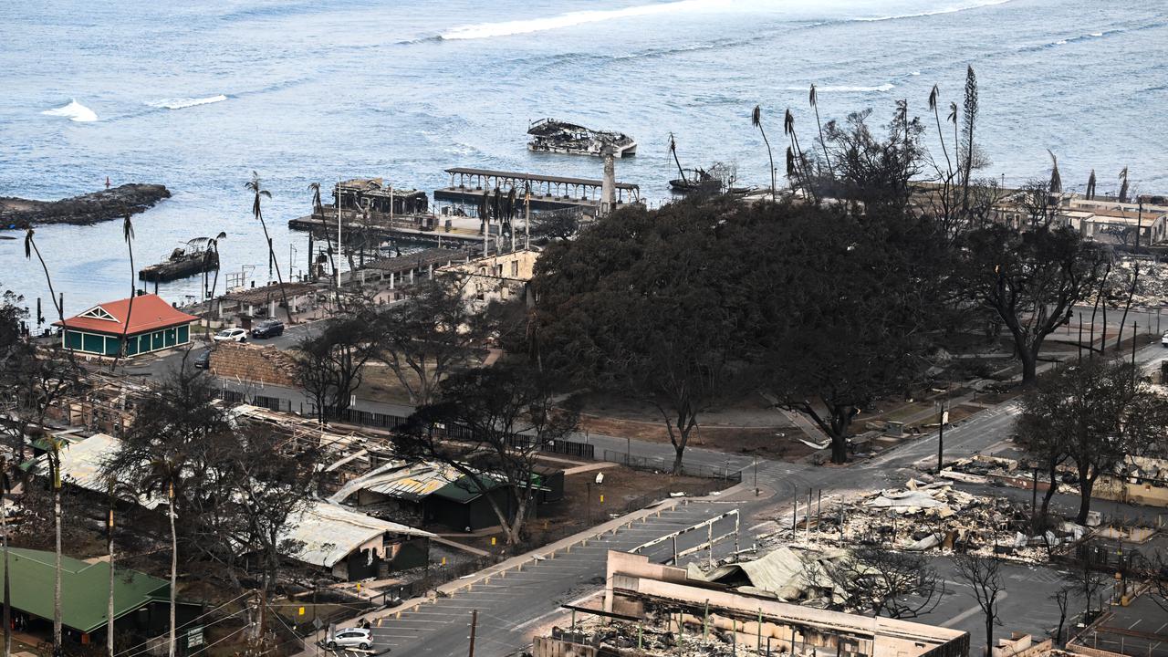 Pohon Beringin Terkenal Terbakar di Kebakaran Hutan Hawaii