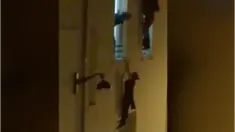 Seorang wanita hamil tertangkap kamera saat meminta tolong setelah bom menggemparkan kota Paris. 