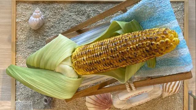 Sampel Makanan Plastik