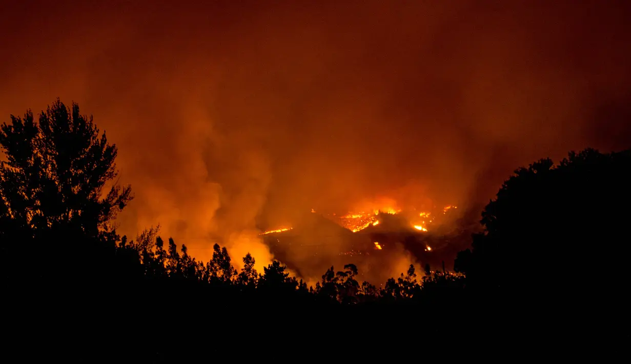 Pandangan udara saat kobaran api melahap hutan di wilayah Santiago, Chile (20/1). Presiden Michelle Bachelet mengatakan kebakaran ini terbesar dalam sejarah Chile. (AFP Photo/Martin Bernetti)