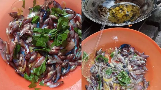 Ikan cupang digoreng. (Sumber: Instagram/ikanparet_id)